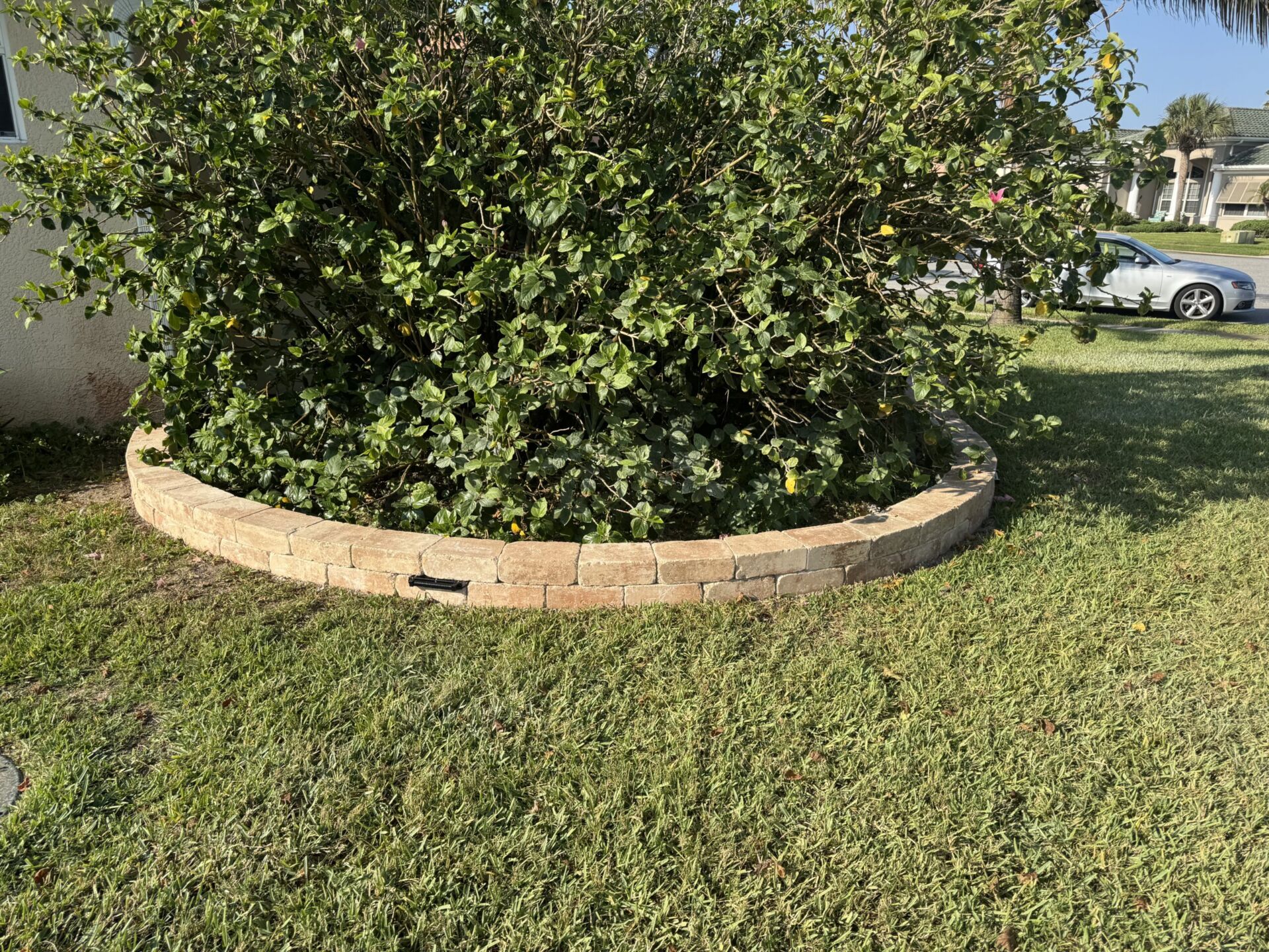 Curved tan block edging surrounding a leafy shrub bed in a lawn.